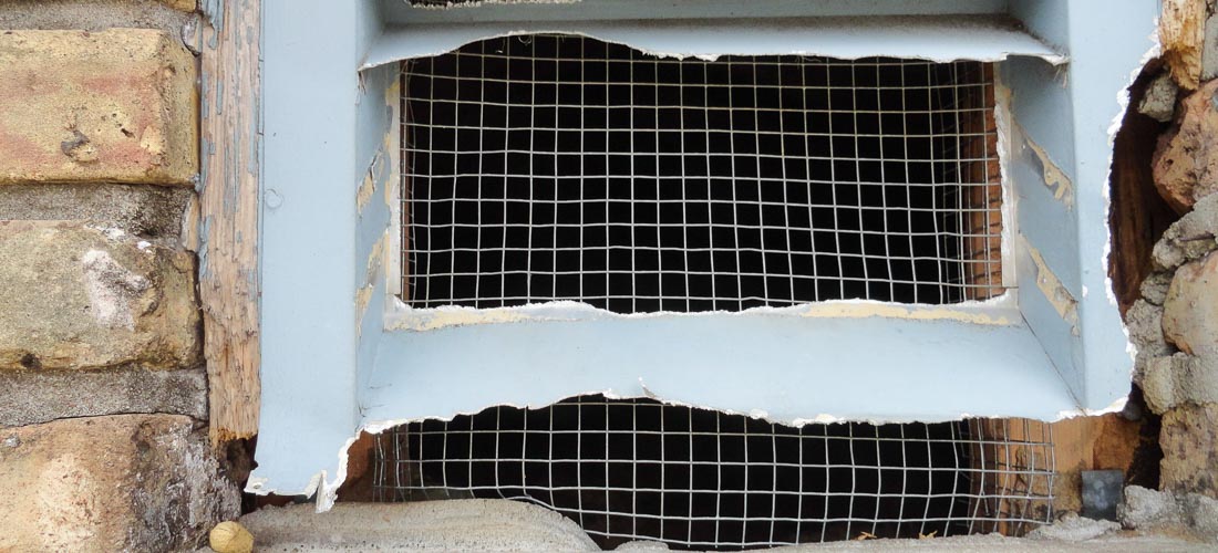 Critter trapping mitigation removal control repair services attic